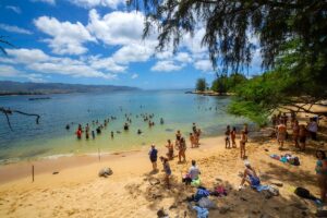 Small group Oahu Circle Island Tour from Waikiki