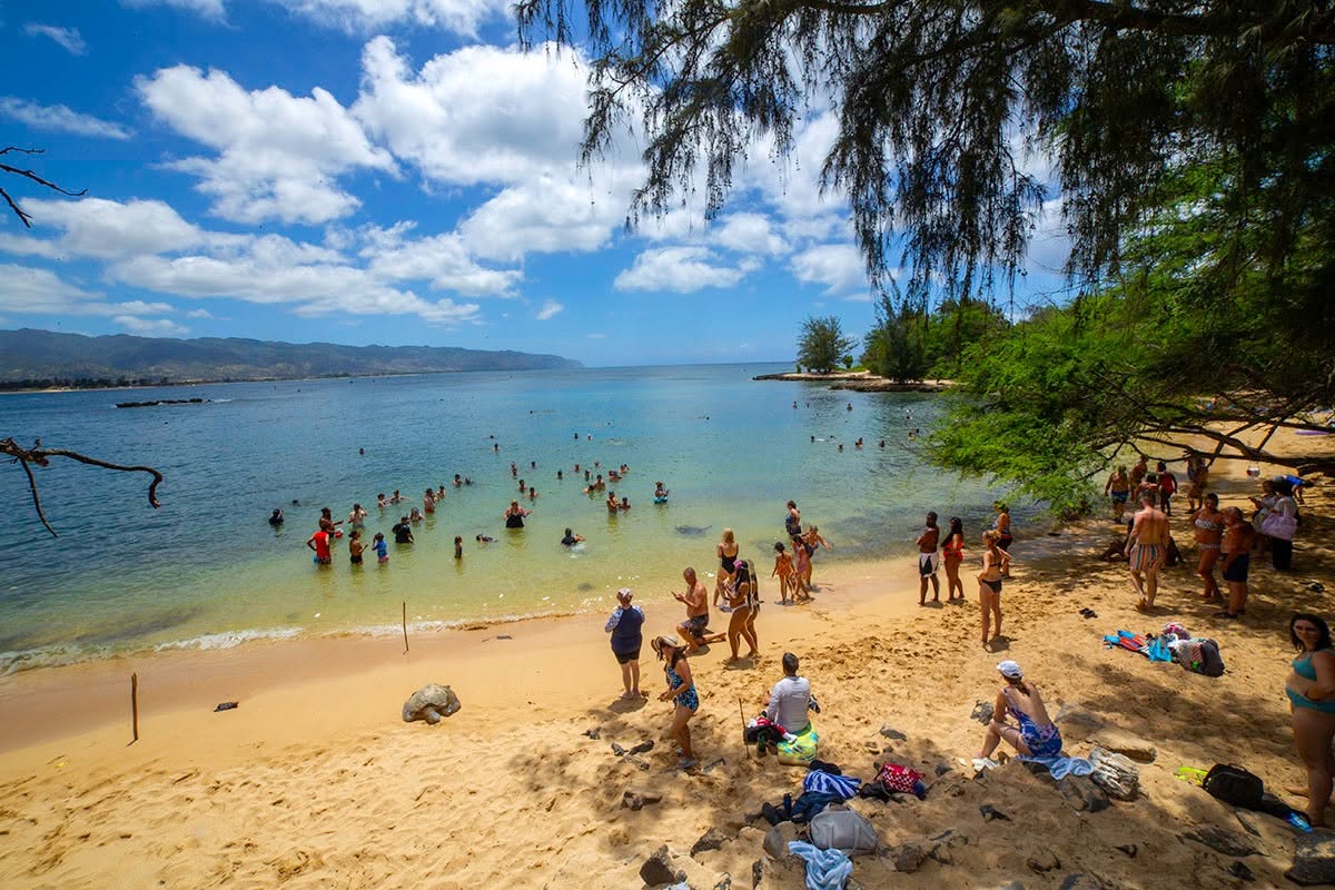 North Shore Turtle Beach stop on the Oahu Circle Island Tour